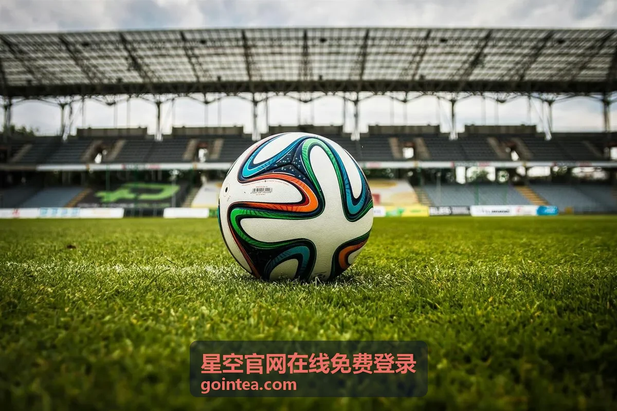 星空官网在线免费登录验证码排查配图