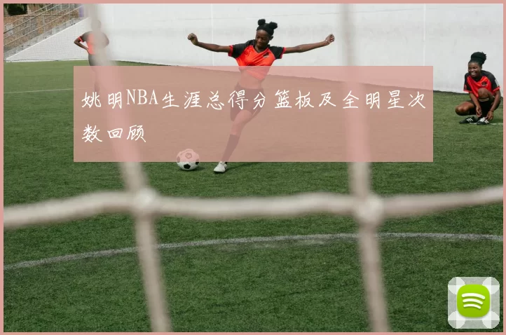 姚明NBA生涯总得分篮板及全明星次数回顾