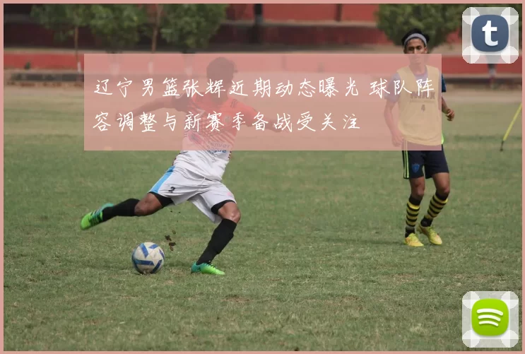 辽宁男篮张辉近期动态曝光 球队阵容调整与新赛季备战受关注