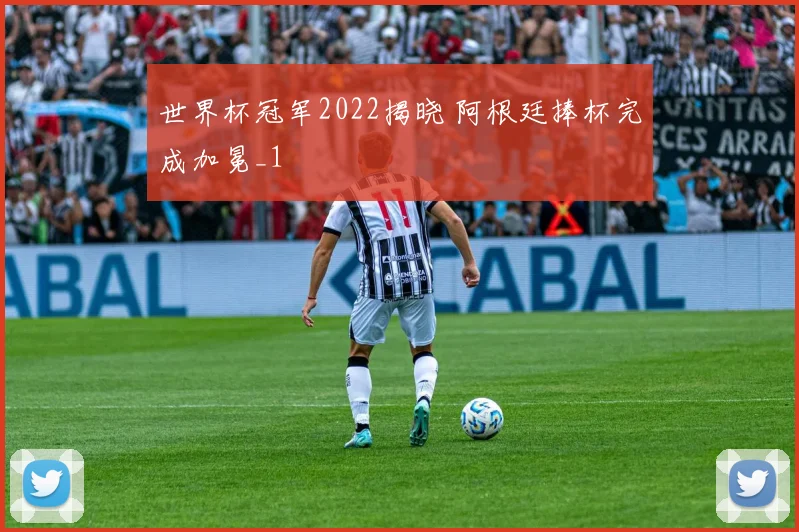世界杯冠军2022揭晓 阿根廷捧杯完成加冕_1