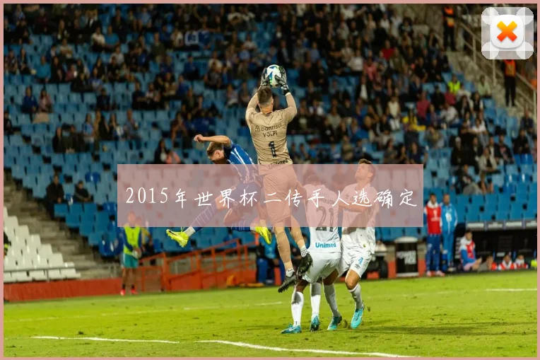 2015年世界杯二传手人选确定