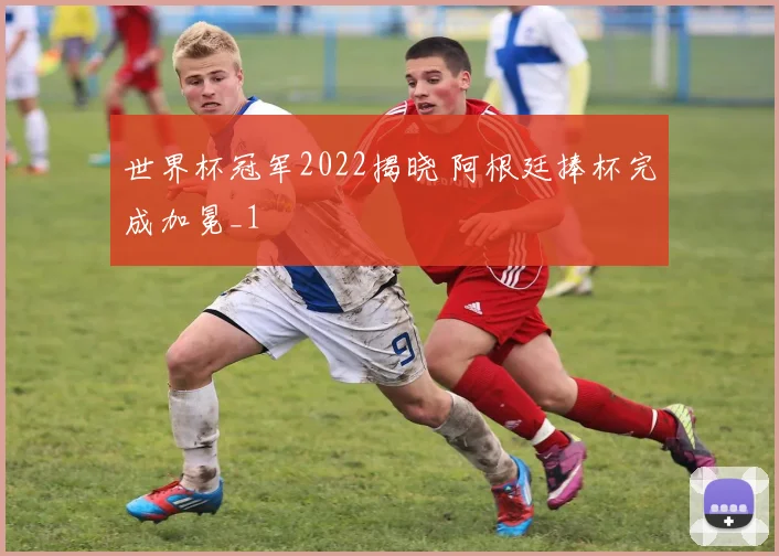 世界杯冠军2022揭晓 阿根廷捧杯完成加冕_1