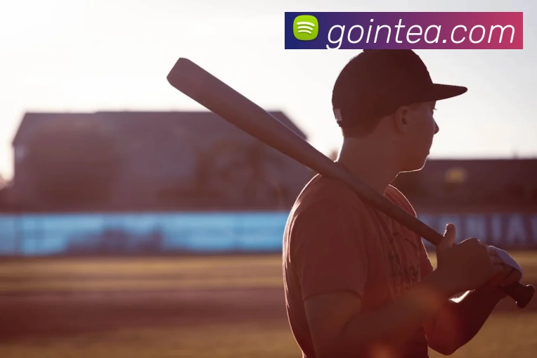 星空app官方登录入口服务体系