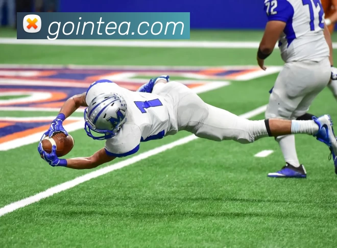 星空app官方登录入口APP 体育赛事宣传图